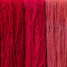 Cochineal Dyeing Demo w/ Omar Chasan (Saturday, September 27th @ 11am_