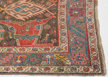 Graphic Bidjar Rug - 3'9 x 7'2