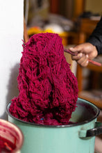 Cochineal Dyeing Demo w/ Omar Chasan (Saturday, September 27th @ 11am_