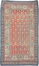 This rare cotton pile rug is a wonderful example of early 20th century weaving from India’s Deccan region, likely originating from a workshop in Hyderabad or Bidar. Though long attributed to Agra, emerging scholarship suggests that many rugs of this type, with their Persianate design vocabulary and unique structural features, reflect a broader and more diverse history of Indian carpet production beyond the colonial centers.