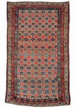 Kurdish Bidjar area rug featuring an all-over lattice design containing eight-pointed star-like rosettes in various reds, blues, and browns on a light camel field. It is framed by three borders each featuring the same blossoming vine motif but on distinct color grounds.