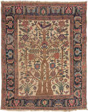 Khamseh Tree of Life Rug - 4' x 5'1