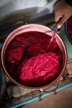 Cochineal Dyeing Demo w/ Omar Chasan (Saturday, September 27th @ 11am_