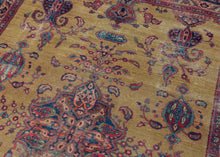 Persian Meshed Rug - 5'9 x 7'8