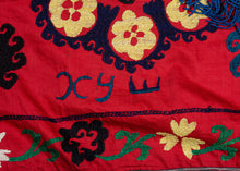 Uzbek Suzani Welcome Banner - 2'2 x 14'