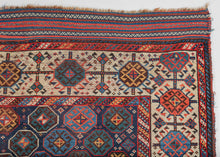 Shekarlu Qashqa'i Rug - 4'10 x 9'3