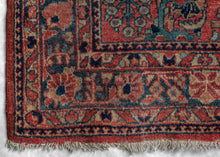Sarouk Rug - 4'5 x 6'8