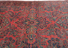 Sarouk Rug - 4'5 x 6'8