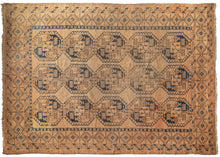 Ersari Turkmen Rug - 8'6 x 12'