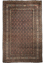 Antique Persian Khamseh carpet featuring a stunning field of blooming tulips atop a dark brown backdrop with green accents. It is framed by a stark white main border of alternating eight pointed stars and hooked cartouche like devices.