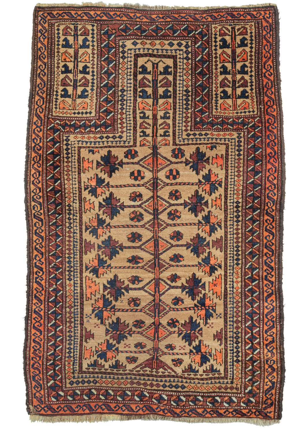 Antique Prayer Baluch rug composed of a directional prayer niche with a tree-of-life central motif that fills the camel mihrab. As the mihrab narrows boteh like shapes can be found at the top of the tree. The same motif can be found on the two smaller trees flanking the top of the mihrab. Navy, orange, purplish brown and ivory liven up the composition.