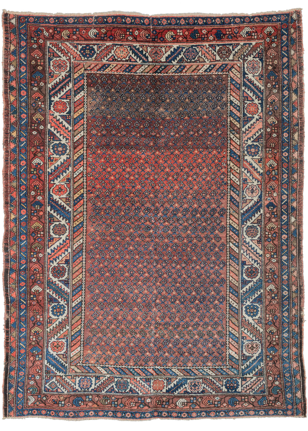 Antique W Persiann Malayer area rug featuring an all over pattern of small botehs on a red field with substantial and stunning abrash, the natural striations that occur when wool is dyed in small batches. The five borders include larger scale geometric designs in blues and reds on ivory fields which provide a nice contrast to the smaller central design.