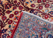 Tree of Life Mashad Rug - 4'8 x 6'9