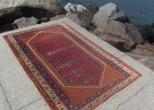 Antique Hamadan Rug - 3'7 x 5'9