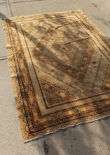 Khotan Rug - 4'8 x 6'5