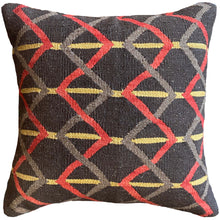 Brown Double Helix Pillow - 20" x 20"